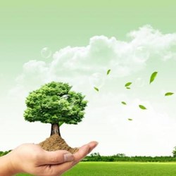 �̏U���A��������׃�U�錚